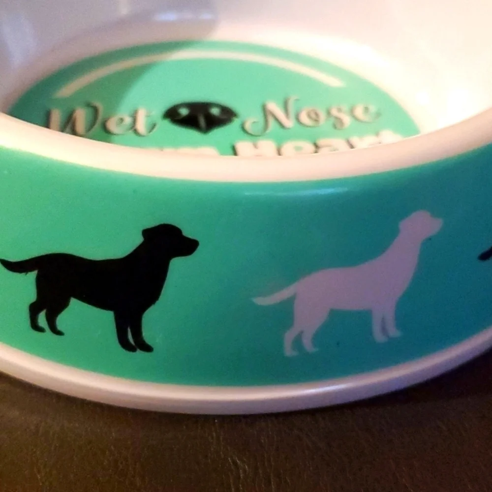 Green, White & Black Dog Bowl